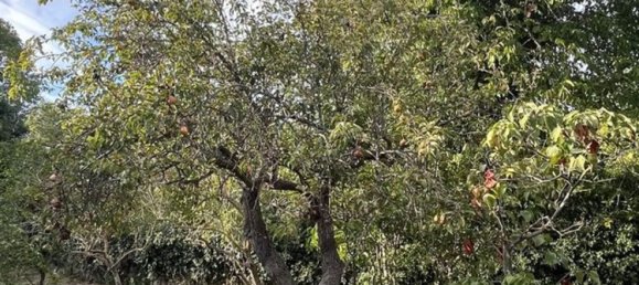 7 rooms Villa in Noto, Italy No. 80376 22