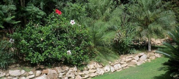 1 Schlafzimmer Penthouse in Mijas, Spain, Nr. 34937 11