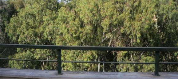 1 Schlafzimmer Penthouse in Mijas, Spain, Nr. 34937 15