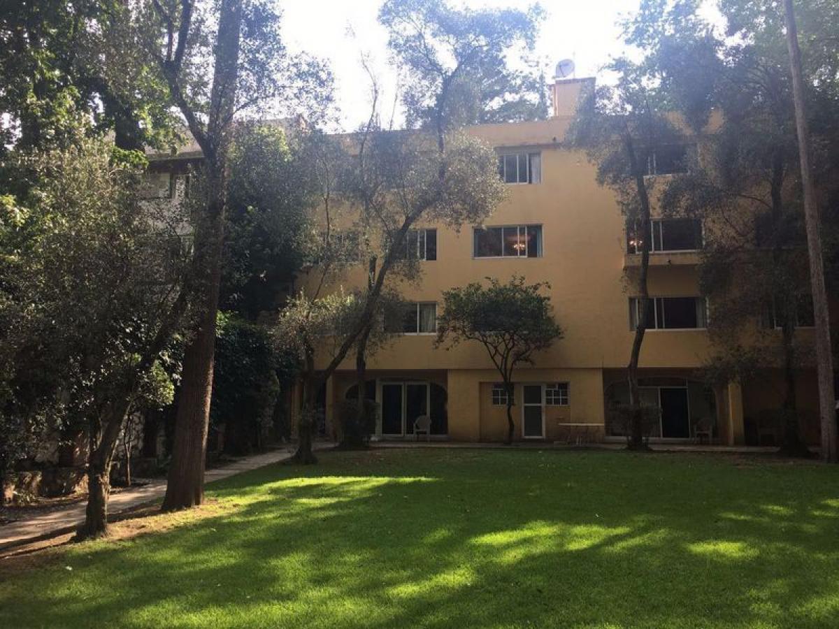 6 chambres Maison à Mexico No. 212133