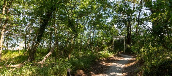 2 bedrooms Duplex in Vorpommern-Rugen, Germany No. 133314 36