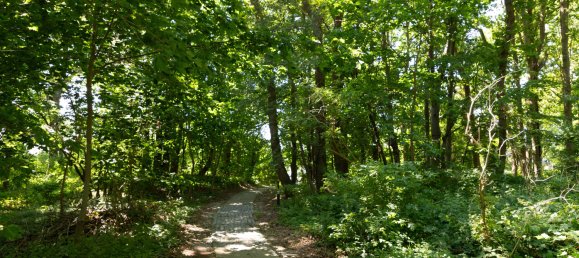 2 bedrooms Duplex in Vorpommern-Rugen, Germany No. 133314 35