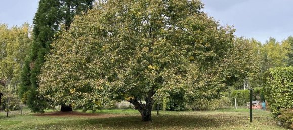 4 غرف نوم منزل في Saint-Laurent-Nouan, France رقم 84558 7