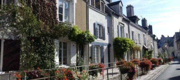 4 غرف نوم منزل في Saint-Laurent-Nouan, France رقم 84558 13