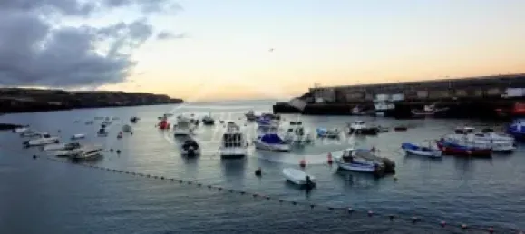 Apartamento de 2 dormitorios en Guía de Isora, Spain No. 111905 39