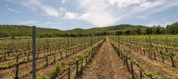 50 rooms House in Monticiano, Italy No. 106728 28