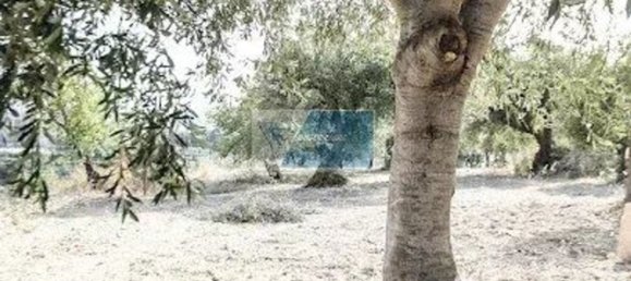 5غرفة فيلا في Avola, Italy رقم 122411 27