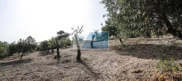 5غرفة فيلا في Avola, Italy رقم 122411 18