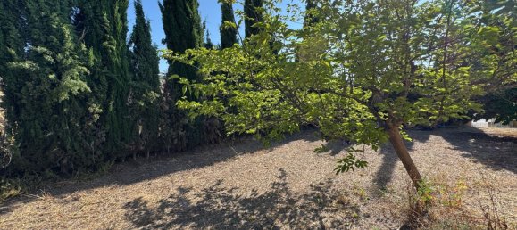 Casa de 3 dormitorios en Cehegín, Spain No. 167782 16