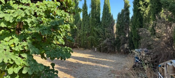 Casa de 3 dormitorios en Cehegín, Spain No. 167782 23