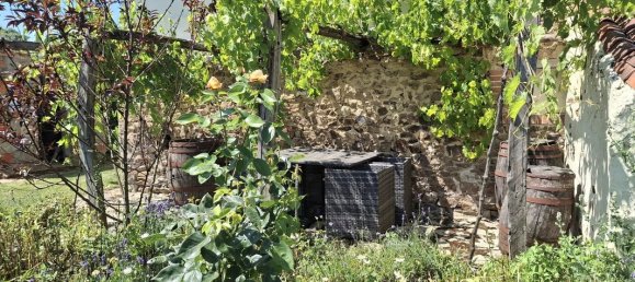 2 bedrooms House in Vienne, France No. 335659 18