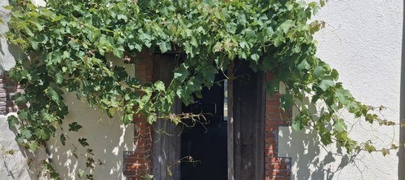 2 bedrooms House in Vienne, France No. 335659 19