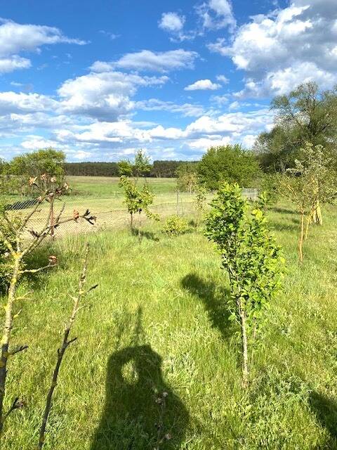 4 rooms Townhouse in Oder-Spree, Germany No. 299091