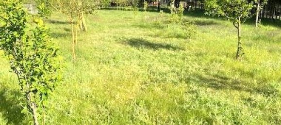 4 rooms Townhouse in Oder-Spree, Germany No. 299091 4