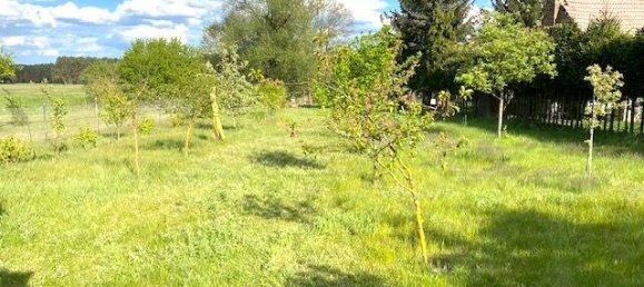 4 rooms Townhouse in Oder-Spree, Germany No. 299091 3