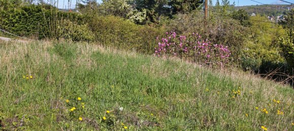 Terrain à Klosterneuburg, Austria 540m² No. 215312 9