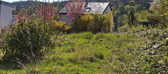 Terrain à Klosterneuburg, Austria 540m² No. 215312 8