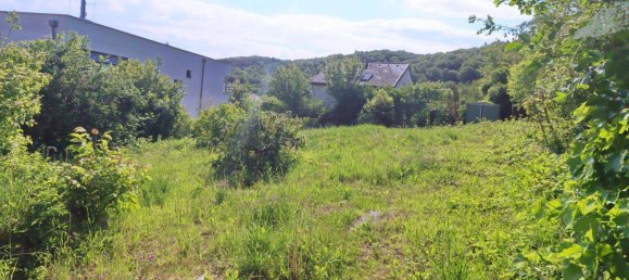 Terrain à Klosterneuburg, Austria 540m² No. 215312 7