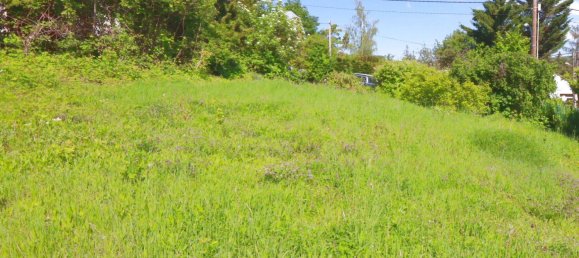 Terrain à Klosterneuburg, Austria 540m² No. 215312 3