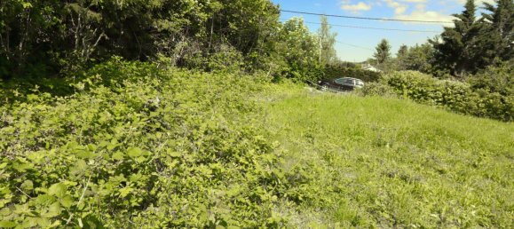 Terrain à Klosterneuburg, Austria 540m² No. 215312 6