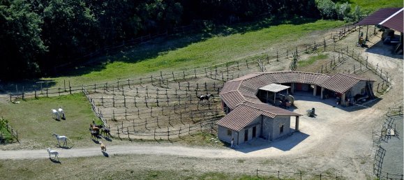 9 bedrooms House in Casole d'Elsa, Italy No. 233148 3