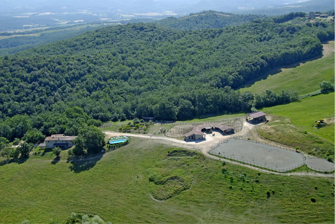 9 bedrooms House in Casole d'Elsa, Italy No. 233148