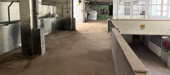 Imóvel comercial em Enns, Austria 1646 m² N.º 129125 3