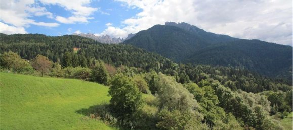 8غرفة فيلا في Lorenzago di Cadore, Italy رقم 148343 11