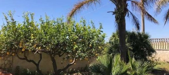 4 Schlafzimmer Villa in Castelvetrano, Italy, Nr. 92824 11