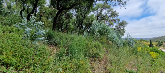 2 Schlafzimmer Grundstück in Monchique, Portugal, Nr. 32610 23