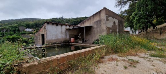 2 Schlafzimmer Grundstück in Monchique, Portugal, Nr. 32610 14