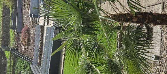 3 bedrooms Townhouse in Zweibrucken, Germany No. 114975 5