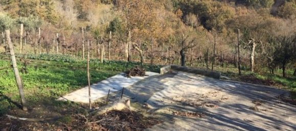 Terrain à Capriglia Irpina, Italy 9000m² No. 255384 5