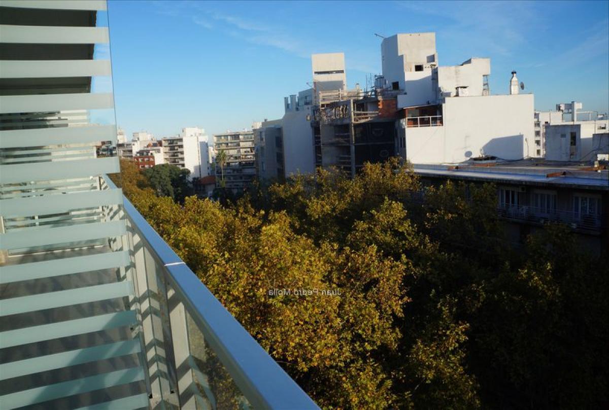 Studio in Montevideo, Uruguay No. 3354