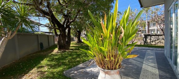 5 غرف نوم منزل في Chiang Mai, Thailand رقم 12269 12