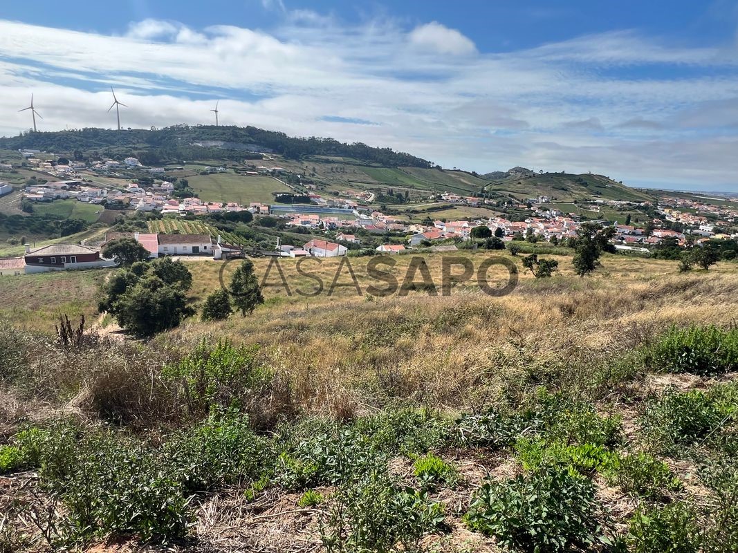 Земельный участок в Торриш Ведраш, Португалия № 204935