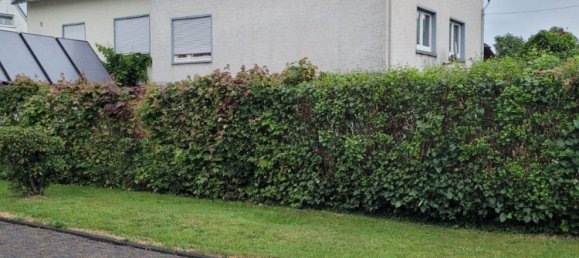 2 bedrooms Townhouse in Siegen-Wittgenstein, Germany No. 343311 2