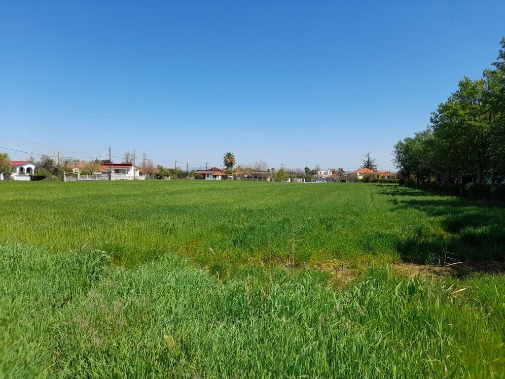 8250m² Hotel in Chalkidiki, Greece No. 3673