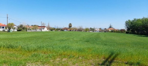 8250m² Hotel in Chalkidiki, Greece No. 3673 2