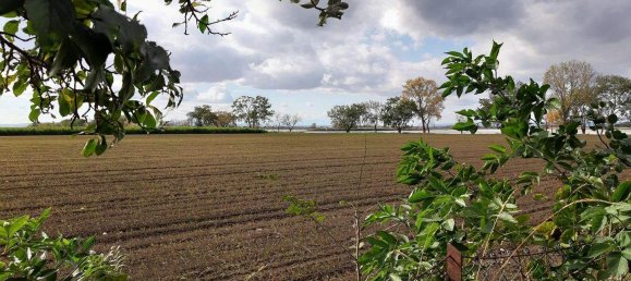 Бунгало с 3 комнатами в Нойзидль ам Зе, Австрия № 242977 7