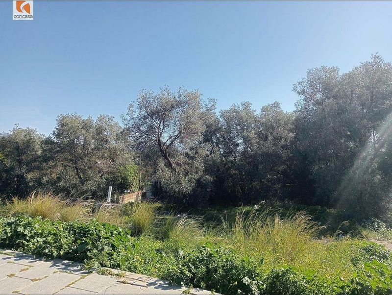  قطعة أرض في Estepona, Spain 1800متر مربع رقم 228077