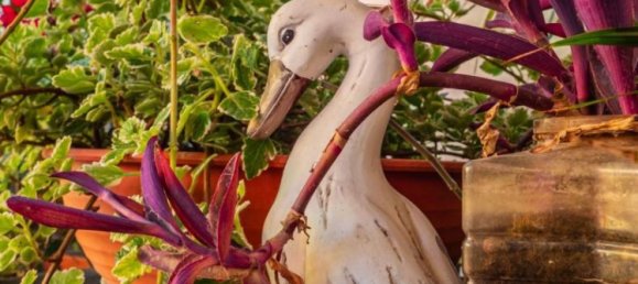 2 bedrooms House in Cartoceto, Italy No. 285434 7