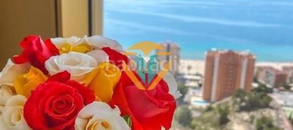 Apartamento de 2 dormitorios en Benidorm, Spain No. 88104 13