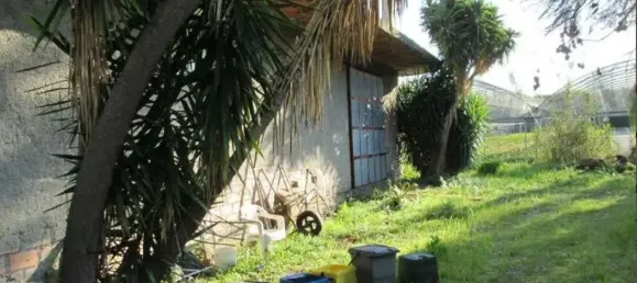 6-Zimmer Haus in Terme Vigliatore, Italy, Nr. 46059 7