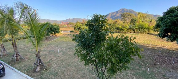 20 bedrooms Commercial property in Chiang Mai, Thailand No. 11455 2