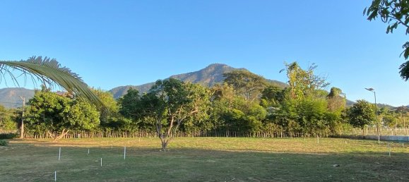 20 bedrooms Commercial property in Chiang Mai, Thailand No. 11455 28