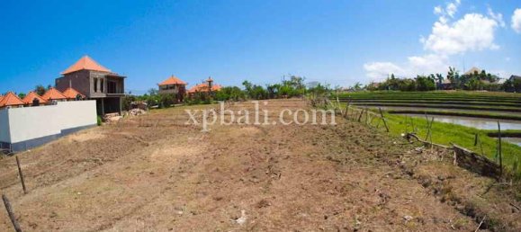 Земельный участок 2165м² в Tampaksiring, Индонезия № 4165 7