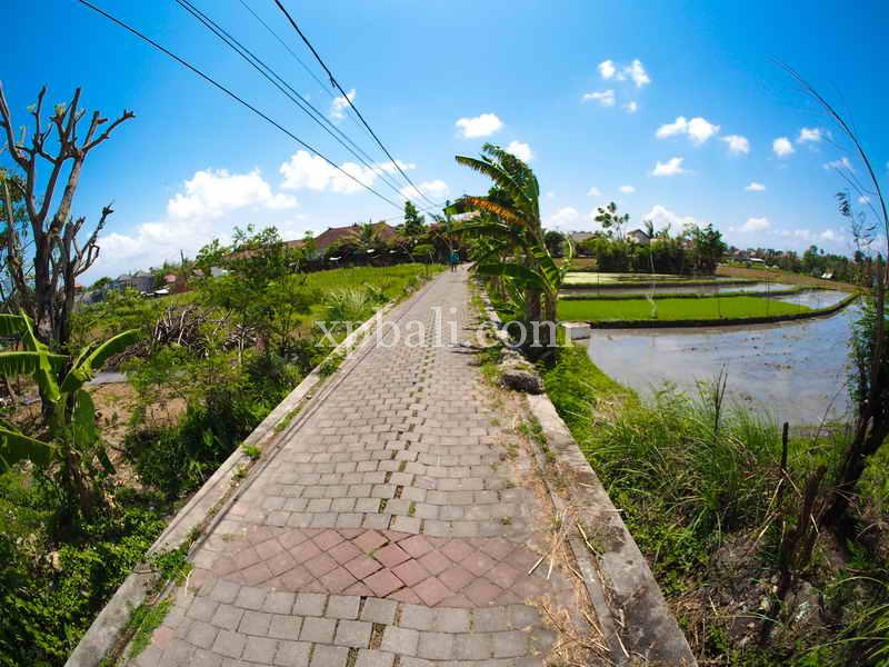 Земельный участок 2165м² в Tampaksiring, Индонезия № 4165