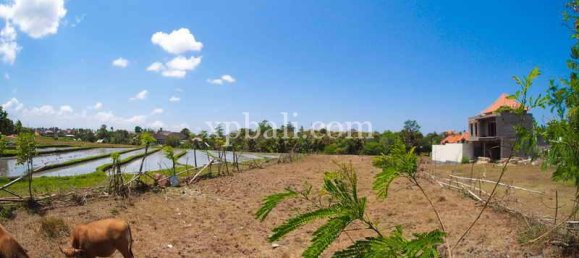 Земельный участок 2165м² в Tampaksiring, Индонезия № 4165 5