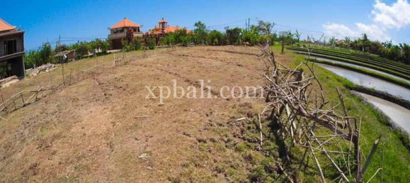 Земельный участок 2165м² в Tampaksiring, Индонезия № 4165 2